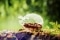 foerderung-waermepumpe-teaser-shutterstock-672183520-stockcreations-1280x853.jpg
